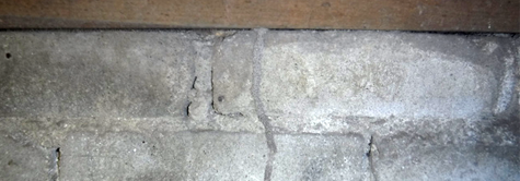 シロアリの食害によるコンクリート被害