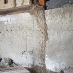ベイト剤(毒餌)によるシロアリ駆除について
