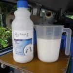 見つけたら駆除しよう！福岡にも多いシロアリ被害への対策