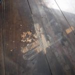 テナントのシロアリ駆除 | 福岡市